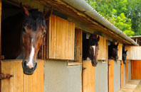 free Perry Common stable construction quotes
